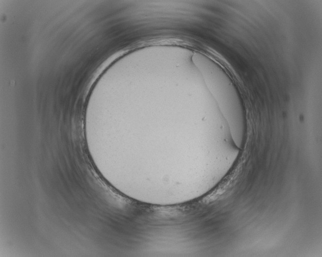 X0000067520852200605051853