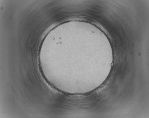 X0000067520853200605051853