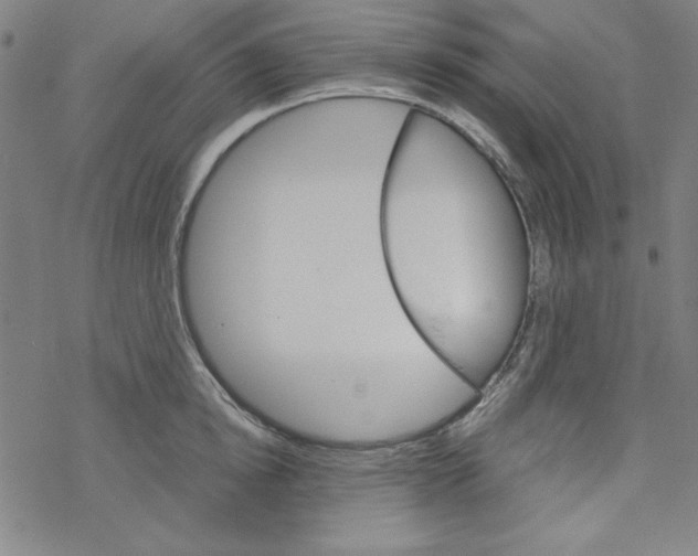 X0000067520854200605051853