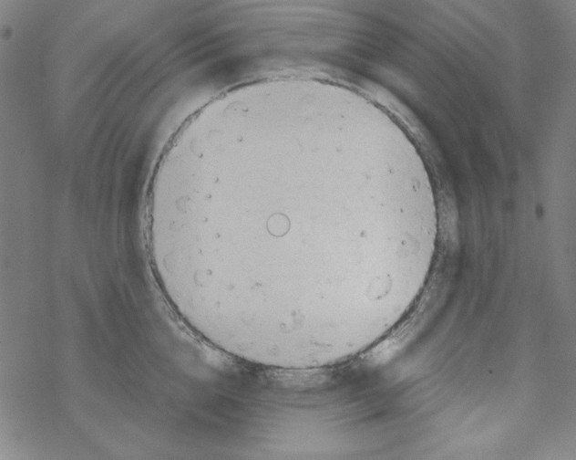 X0000067520856200605051853