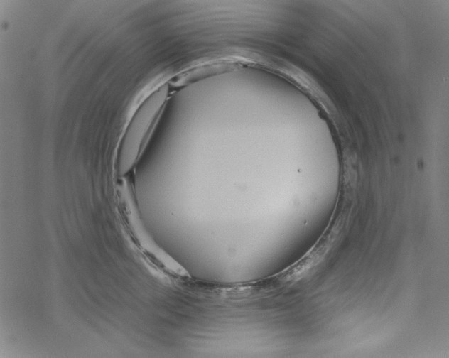 X0000067520858200605051853