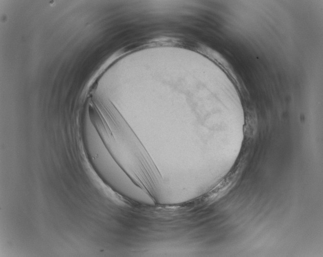 X0000067520859200605051853