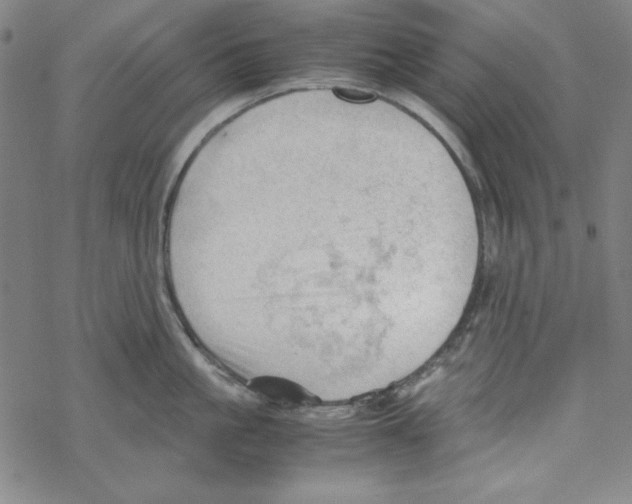 X0000067520861200605051853