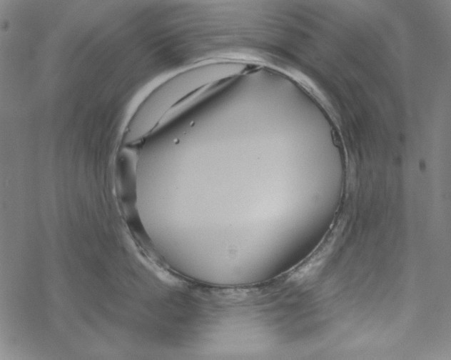 X0000067520862200605051853