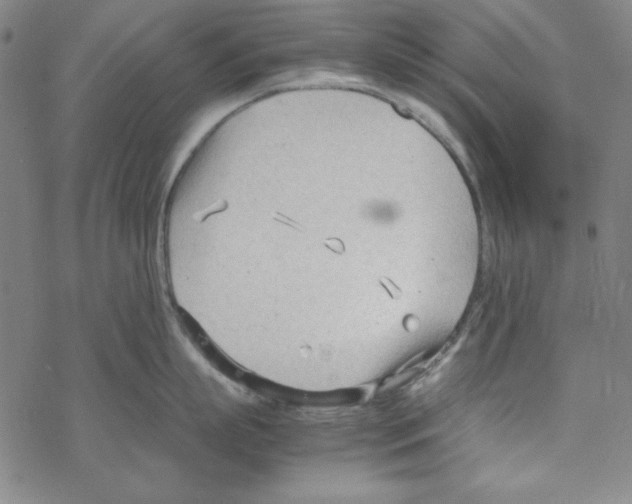 X0000067520863200605051853