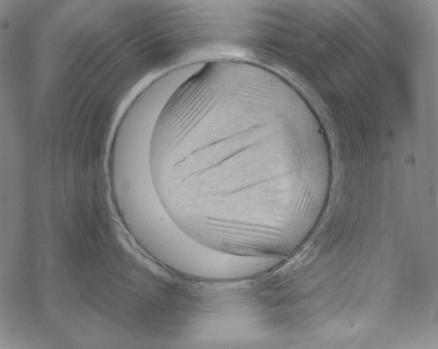 X0000067520864200605051853