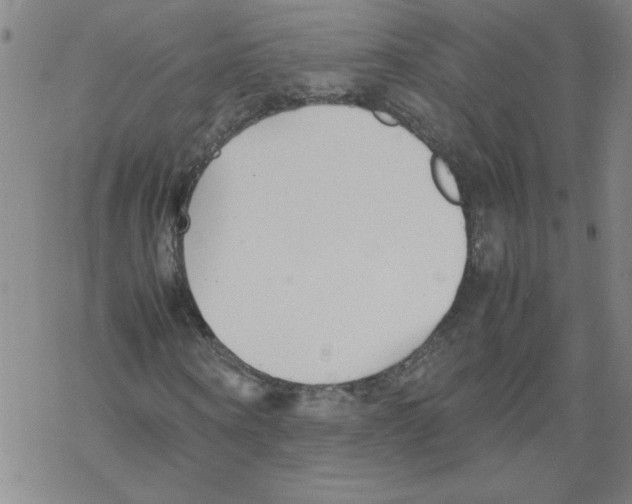 X0000067520866200605051852