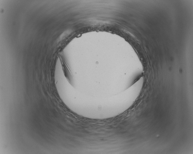 X0000067520869200605051852