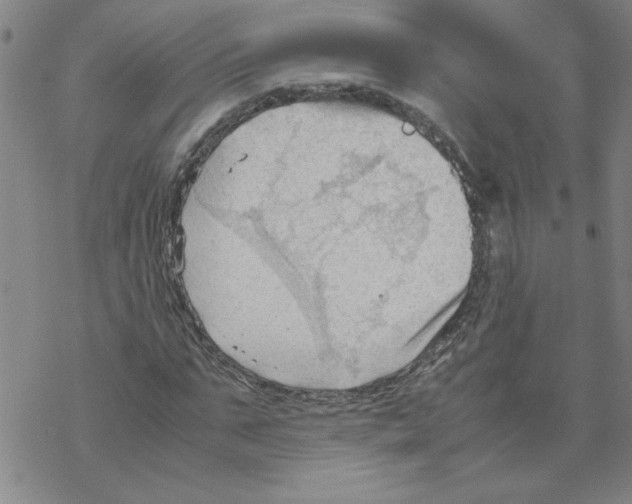 X0000067520871200605051852