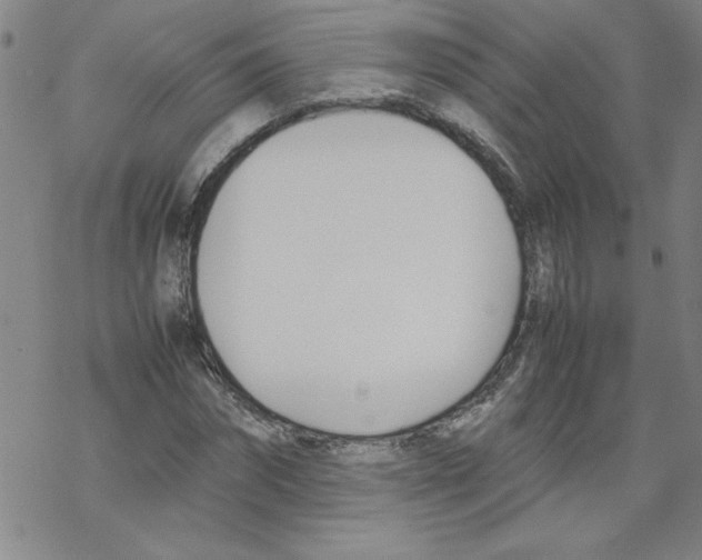 X0000067520874200605051852