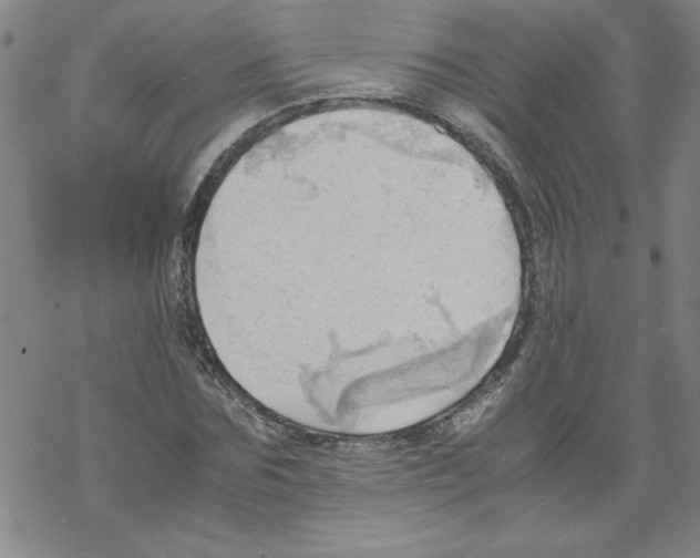 X0000067520875200605051852