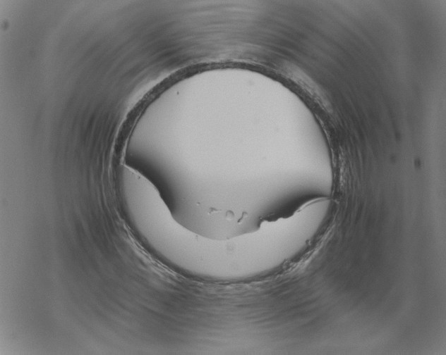 X0000067520876200605051852