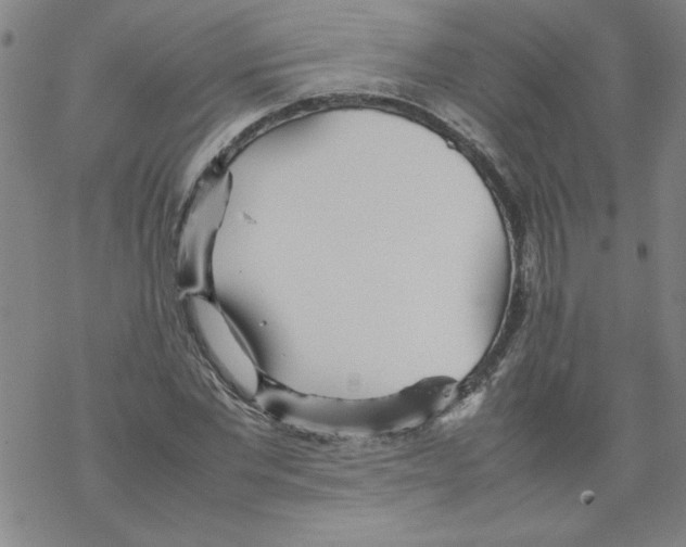 X0000067520877200605051852