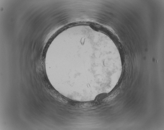 X0000067520879200605051852