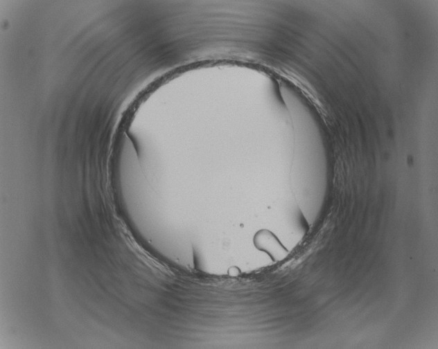 X0000067520880200605051852