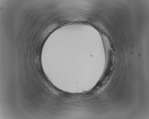 X0000067520881200605051852