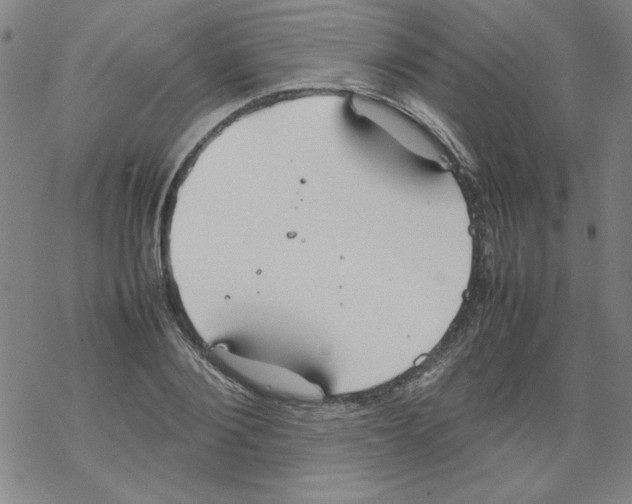 X0000067520884200605051852