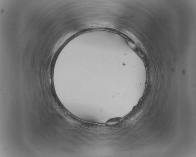 X0000067520885200605051852