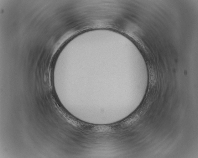 X0000067520886200605051852