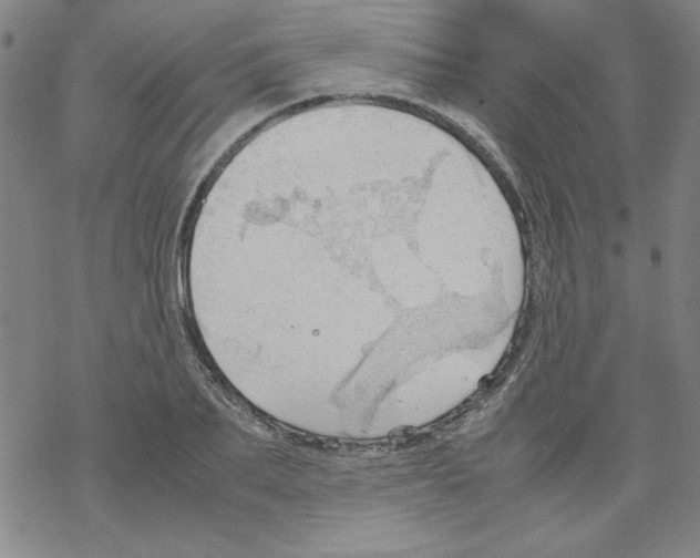 X0000067520887200605051852