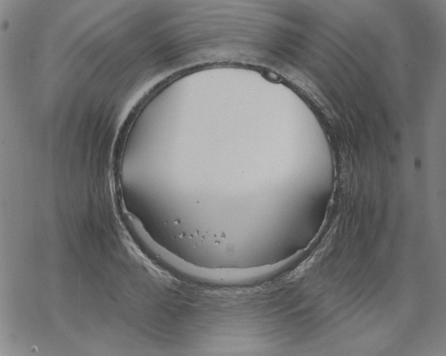 X0000067520888200605051852