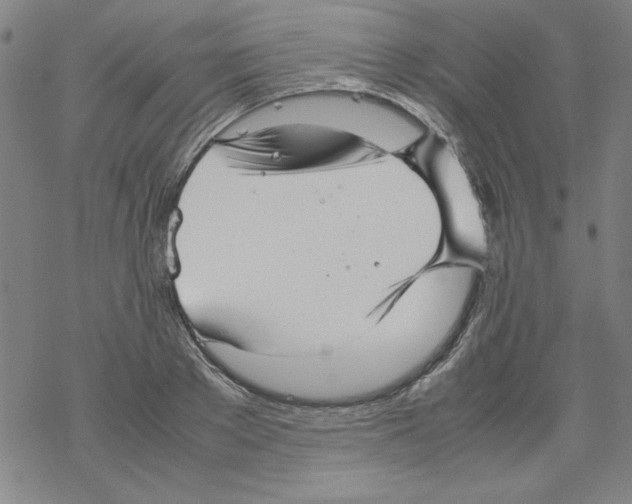 X0000067520889200605051852