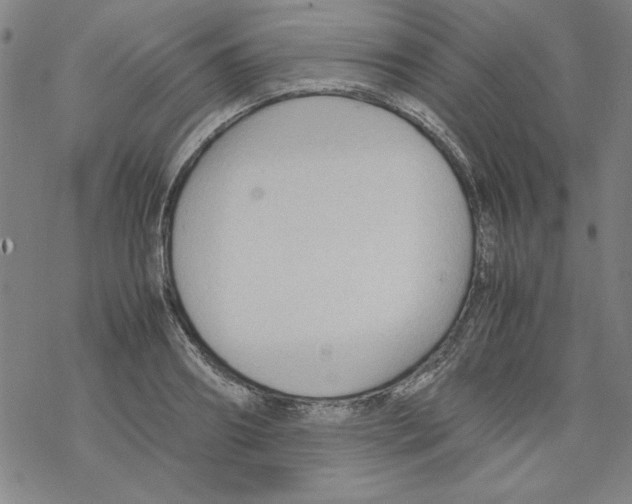 X0000067520890200605051852