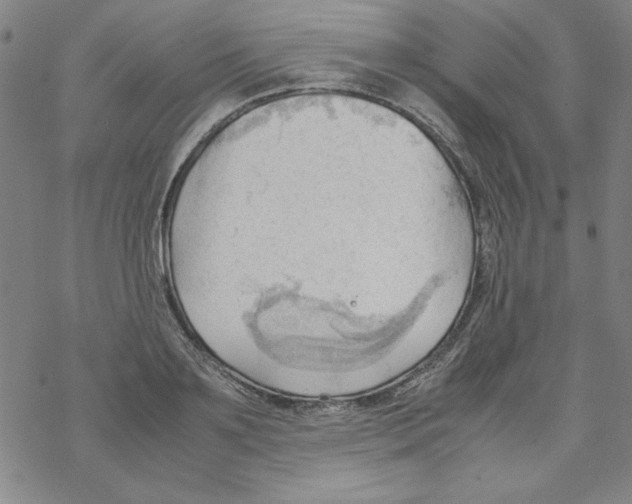 X0000067520891200605051852