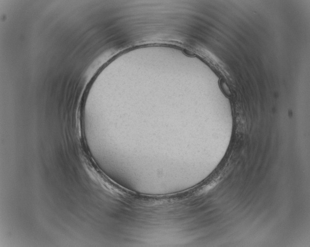 X0000067520892200605051852