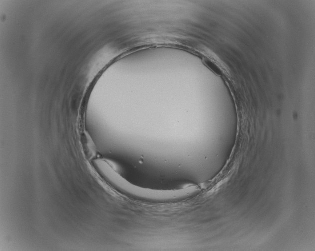 X0000067520893200605051851