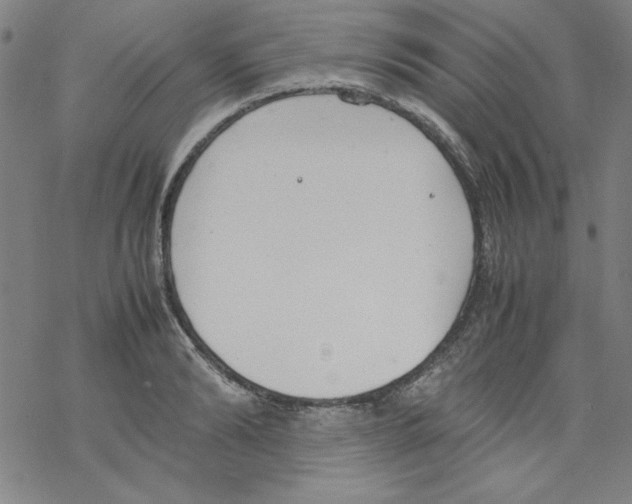 X0000067520894200605051851