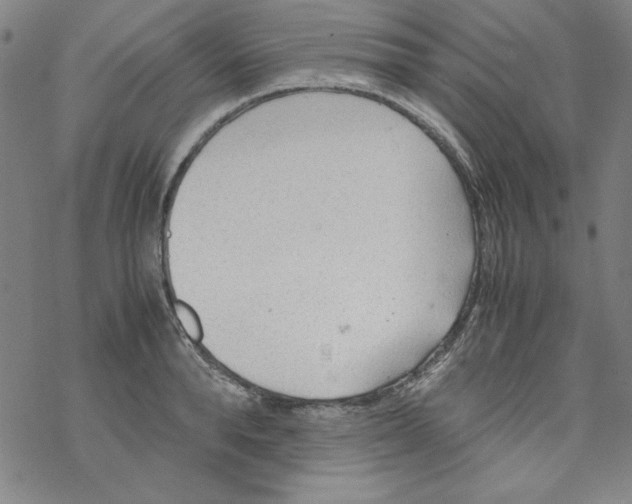 X0000067520896200605051851