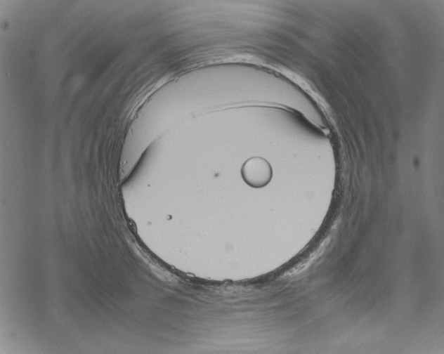 X0000067520897200605051851