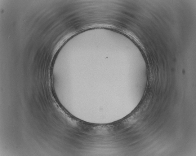 X0000067520898200605051851