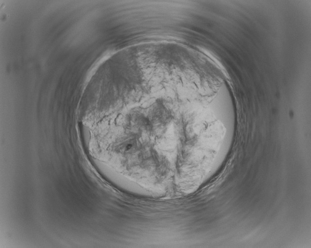 X0000067520899200605051851