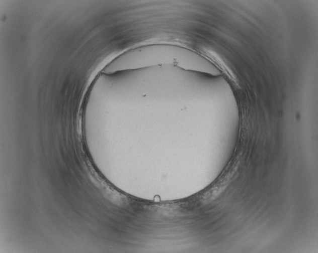 X0000067520900200605051851