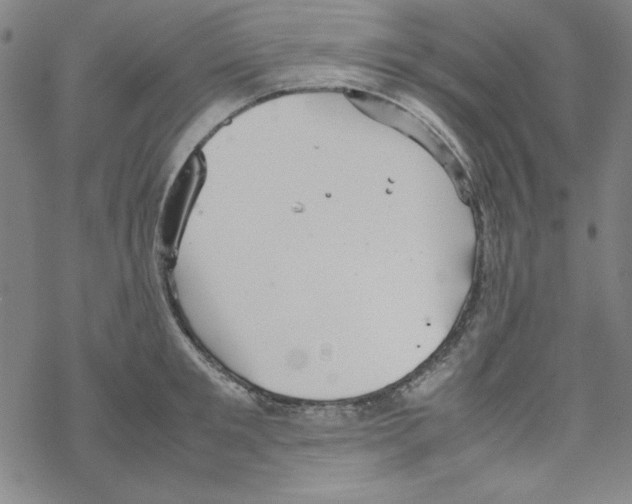 X0000067520901200605051851