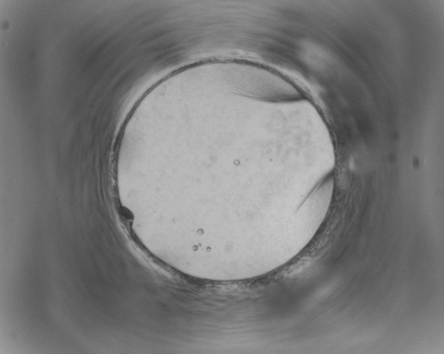 X0000067520903200605051851