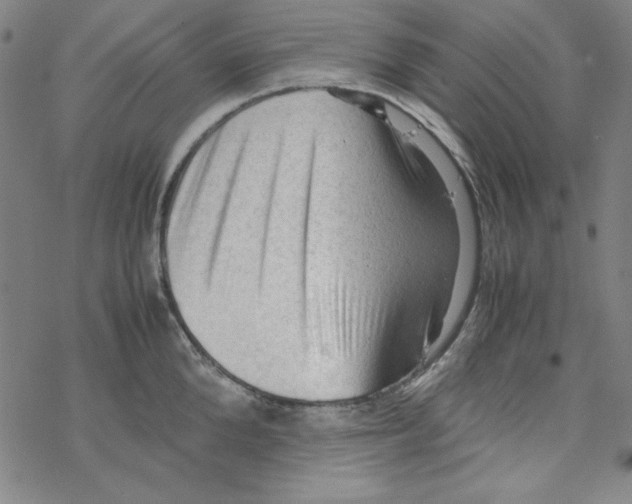 X0000067520904200605051851