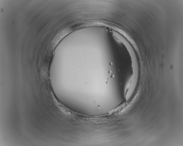 X0000067520905200605051851