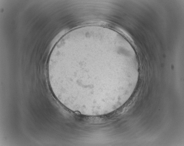 X0000067520907200605051851