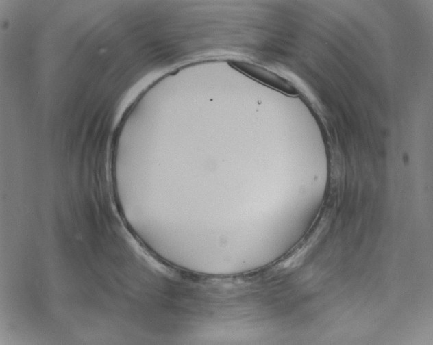 X0000067520910200605051851