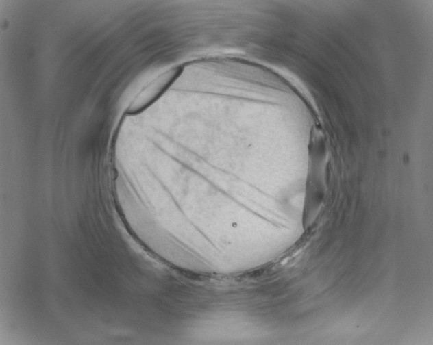 X0000067520911200605051851