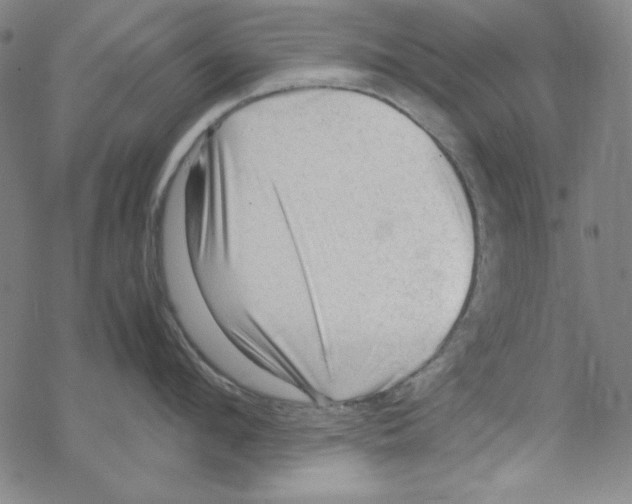 X0000067520912200605051851