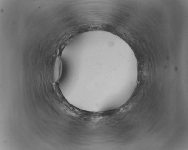 X0000067520916200605051850