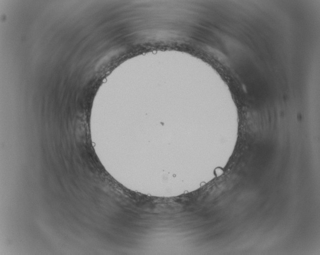 X0000067520918200605051850