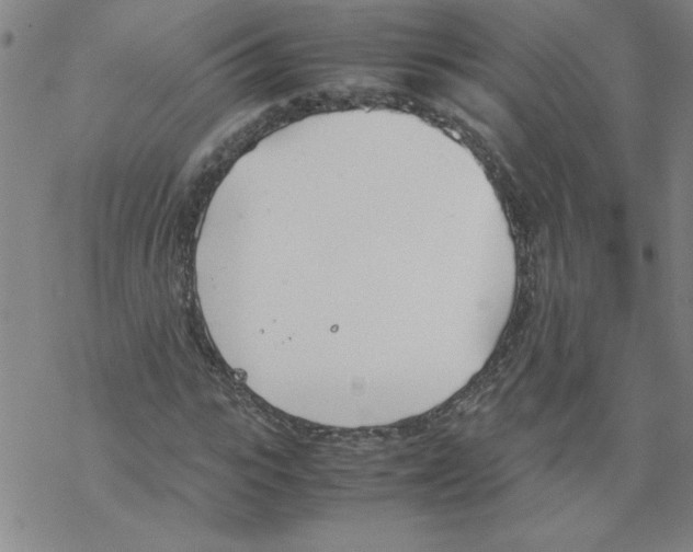 X0000067520919200605051850