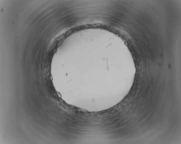 X0000067520920200605051850