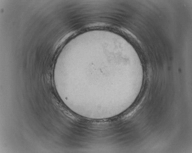 X0000067520921200605051850