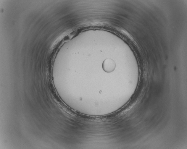 X0000067520922200605051850